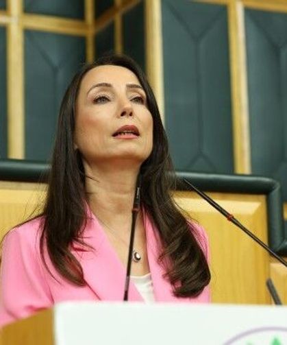 Hatimoğulları: Yasa AKP’nin değil