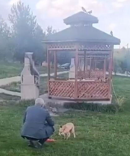 Tilkiyle dostluğu kameraya yansıdı