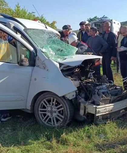 Diyarbakır'da otomobilin motor kısmında doğan kedi yavruları kurtarıldı