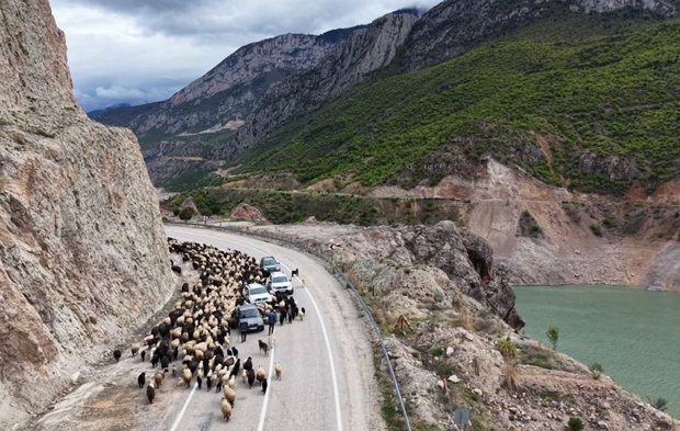 Besicilerin yaylaya zorlu göçü