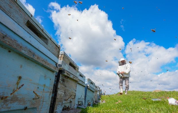 Diyarbakır’da bereketli bal sezonu bekleniyor