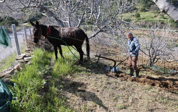 Gençler köyü terk edince iş yaşlılara kaldı