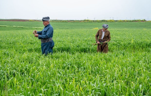 Irak Kürdistan Bölgesi’nde yüzleri güldüren gelişme