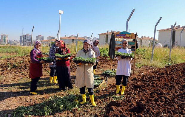 Diyarbakır’da kadınlar kışlık üretime başladı!