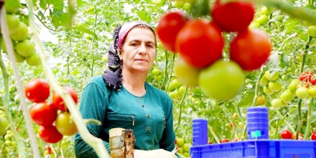 Topraksız tarım kadınlara iş kapısı oldu