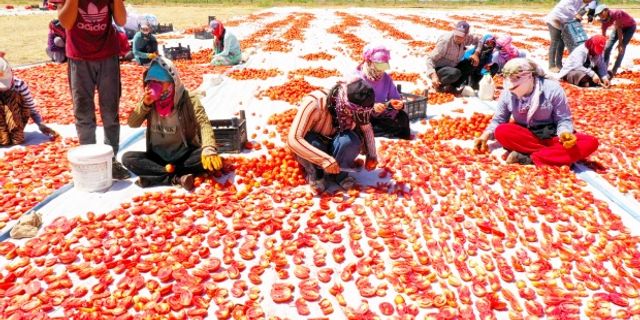‘Akça kadınlar' hem üretiyor hem ihraç ediyor