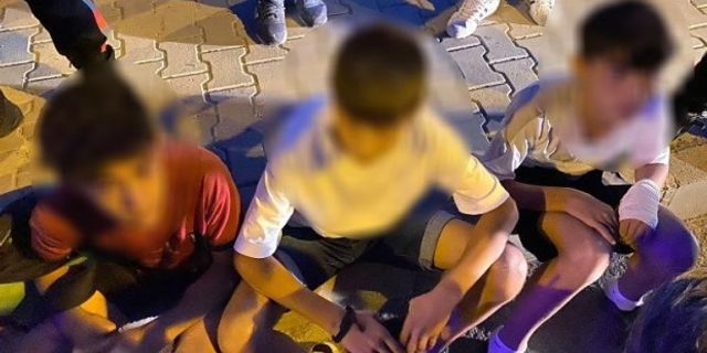 Diyarbakır'da ormanlık alanı yakmaya çalışan çocuklar tutuklandı