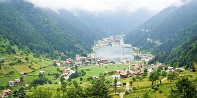 Yeni Rapor: Türkiye’nin orman varlığı azalıyor
