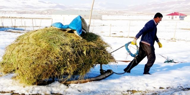 Besicilerin 6 ay süren kış mesaisi başladı