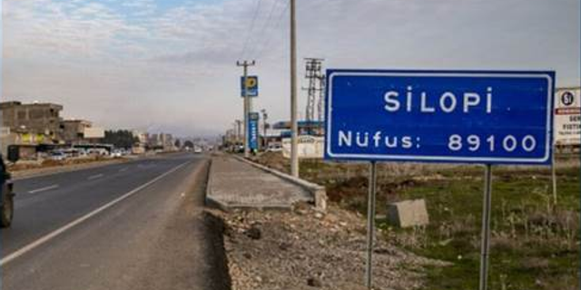 Silopi'de bir kadın evinde ölü bulundu