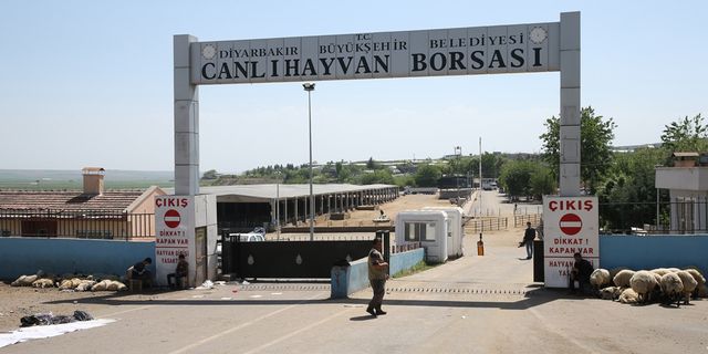 Diyarbakır Canlı Hayvan Borsası kapatıldı