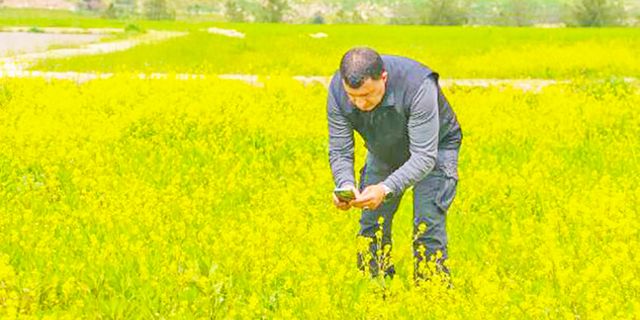 Diyarbakır'da kelebek göçü başladı