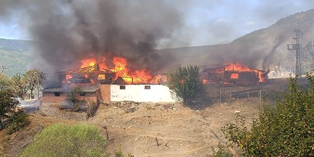 Kastamonu’da köy yangını