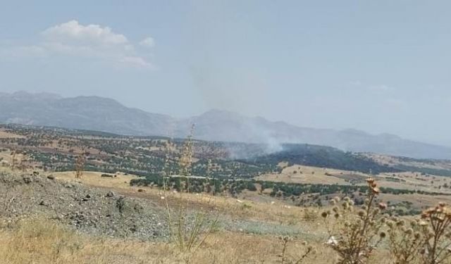 Lice'de orman yangını