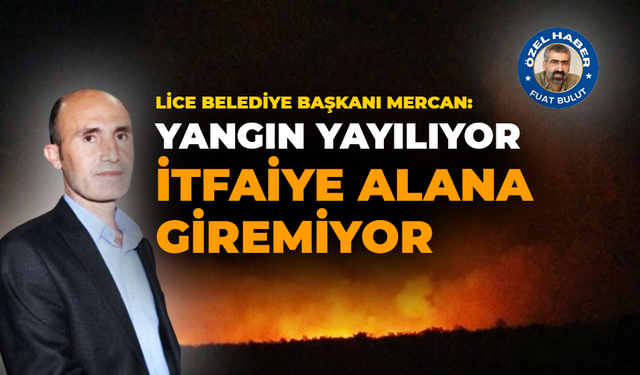 Lice Belediye Başkanı Mercan: Yangın yayılıyor, itfaiye alana giremiyor