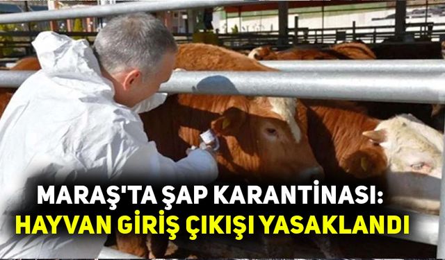 Maraş'ta şap karantinası: Hayvan giriş çıkışı yasaklandı
