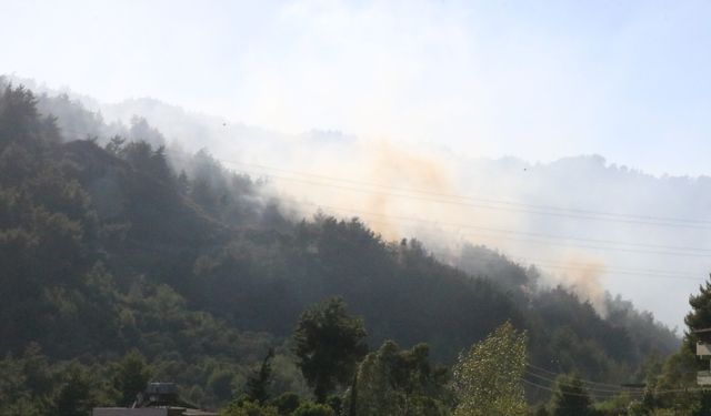Hatay'da orman yangını