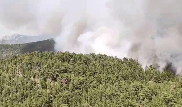 Antalya’da orman yangını