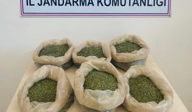 Bingöl’de 3 kilo esrar ele geçirildi