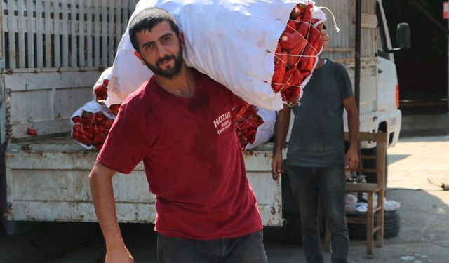 Salça sezonu başladı, damlar kızardı