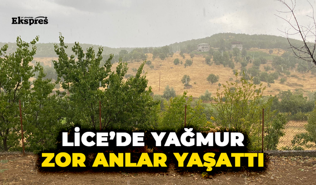 Lice’de yağmur zor anlar yaşattı