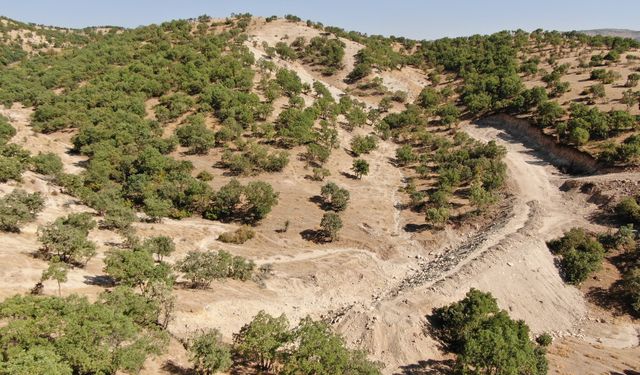 Silvan'da çiftçilere mera yolu