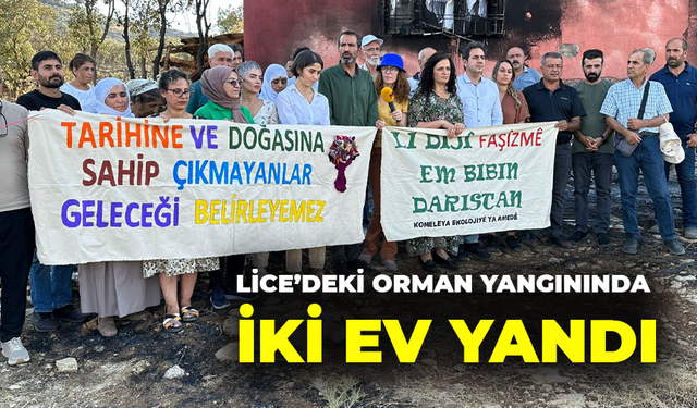 Lice’deki orman yangınında iki ev yandı