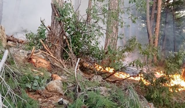 Hatay’da orman yangınına havadan ve karadan müdahale