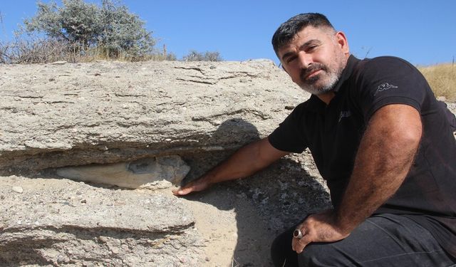 Sivas'ta binlerce yıllık kemik bulundu
