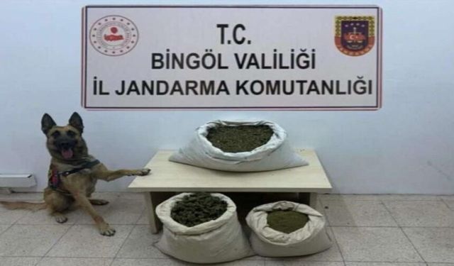 Bingöl’de 6 arazide uyuşturucu madde ele geçirildi