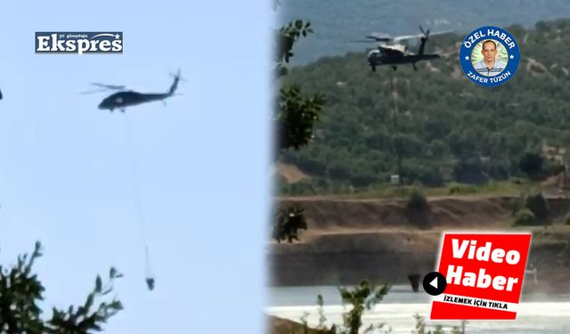 Lice'de büyük orman yangını