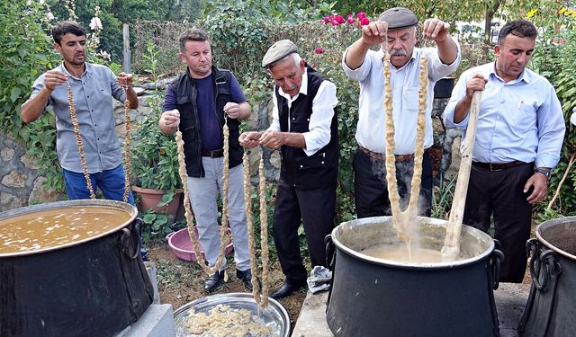 Silvan’da Bağbozumu Festivali