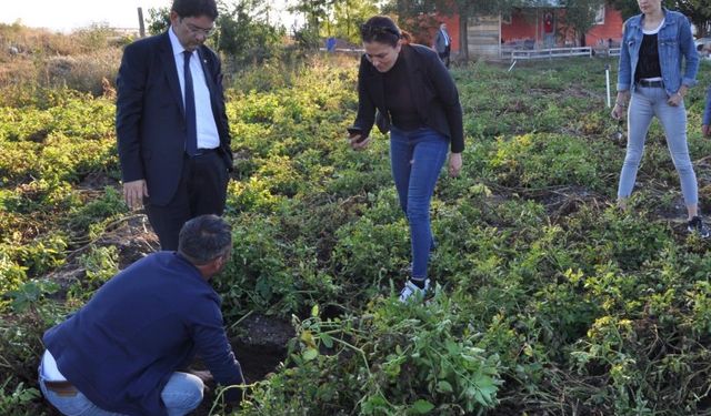 Erzurum’da ilk kez bir ürün ekilecek