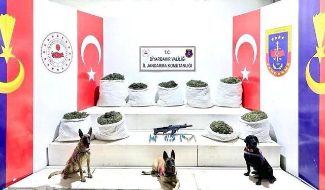 Lice'de 364,5 kilo uyuşturucu ele geçirildi