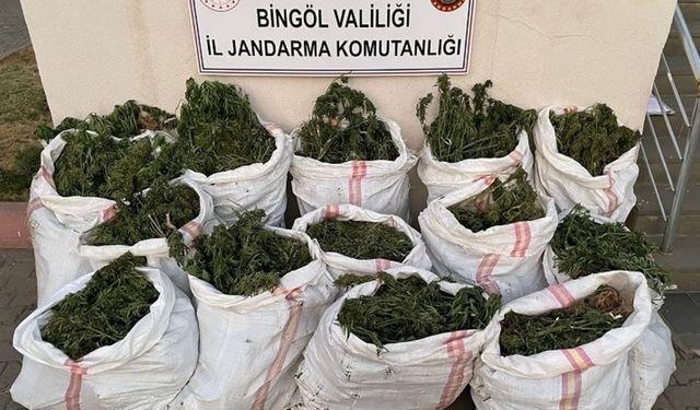 Bingöl’de uyuşturucu operasyonu