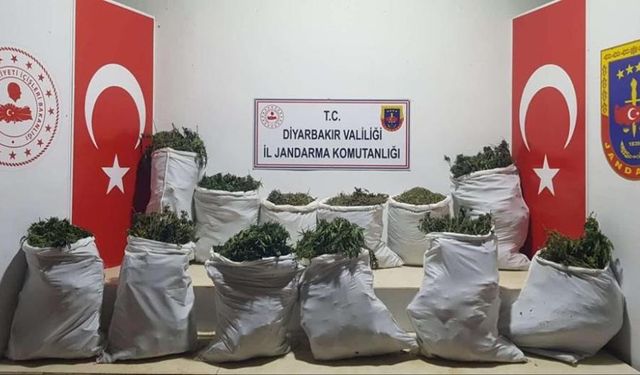 Lice'de 240 kilo esrar ele geçirildi