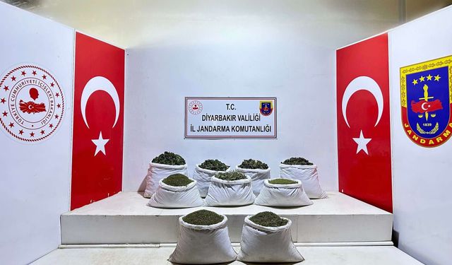 Lice’de 121 kilogram esrar ele geçirildi