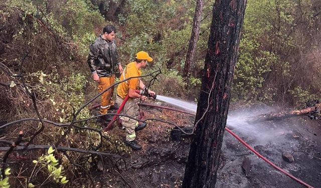 Marmaris’te yıldırım düştü, ormanda yangın çıktı