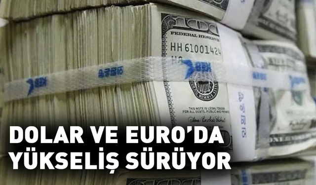 Dolar ve euro'da yükseliş sürüyor