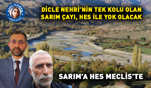 DİCLE NEHRİ’NİN TEK KOLU OLAN SARIM ÇAYI, HES İLE YOK OLACAK