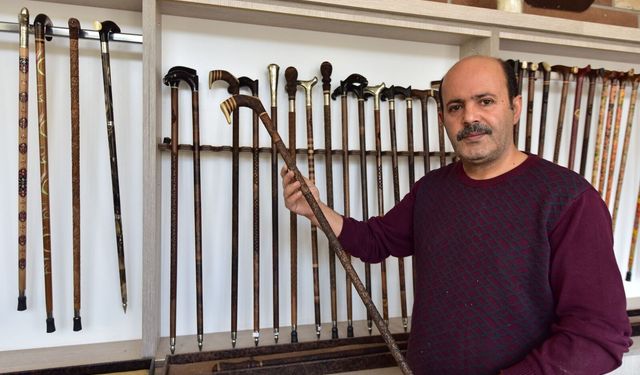 Bin yıllık ceviz ağaçları sanat eseri bastonlara dönüşüyor