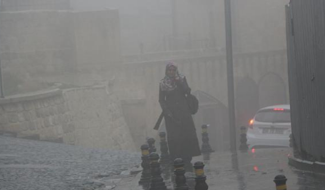 Mardin’de sis yaşamı olumsuz etkiledi