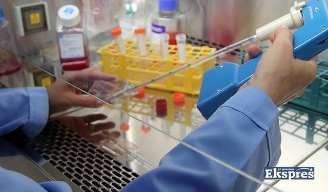 Kanser tedavisinde yeni yöntem