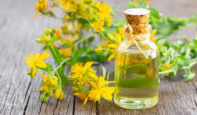 Her derde deva bir bitki