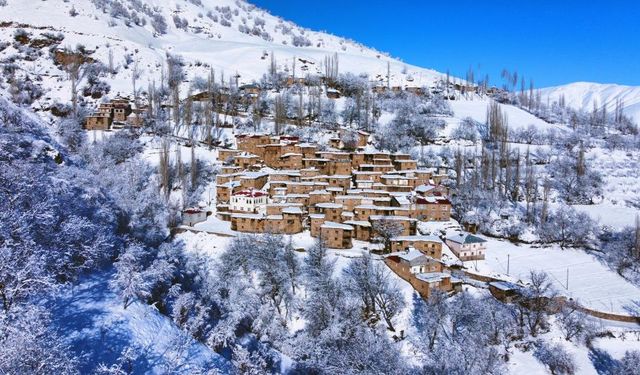 Hizan evlerinin kartpostallık kış manzarası