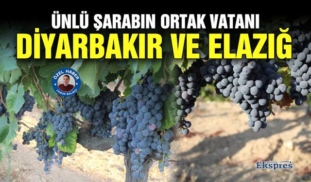 Ünlü şarabın ortak vatanı Diyarbakır ve Elazığ