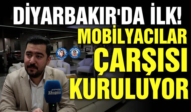 Diyarbakır'da ilk! Mobilyacılar Çarşısı kuruluyor