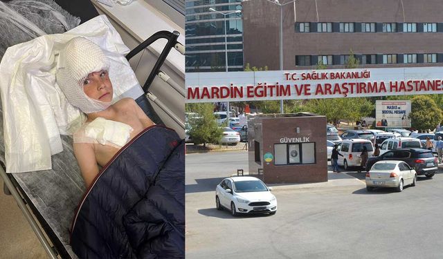 Mardin’de sokak köpeği çocuğu parçaladı