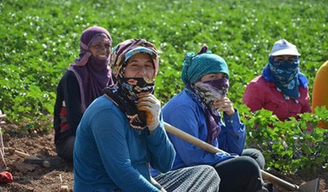 Tarım sektöründe çalışan kadınlar için kanun teklifi