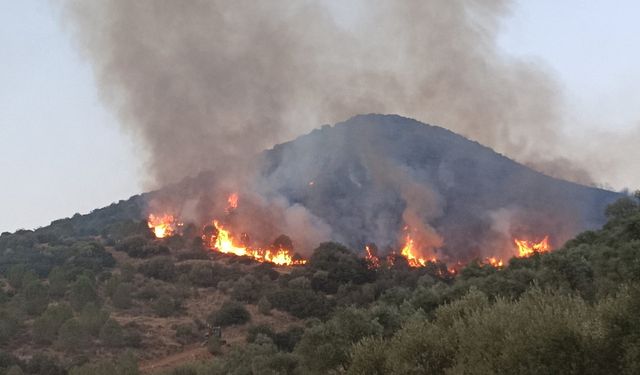 İzmir’deki orman yangını 3 ilçede devam ediyor